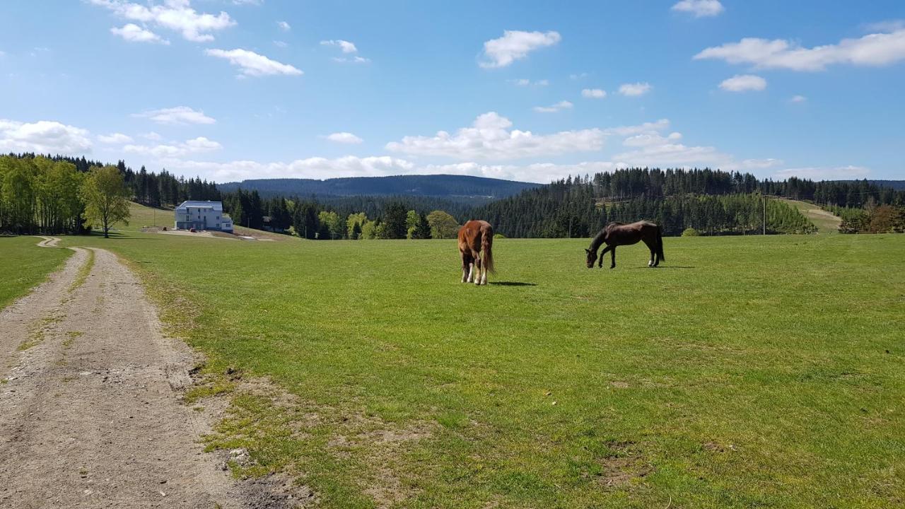 Apartmany Stran Potucky Екстер'єр фото